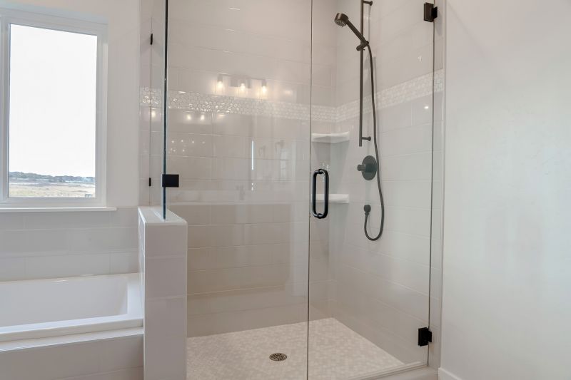Frameless Shower Door